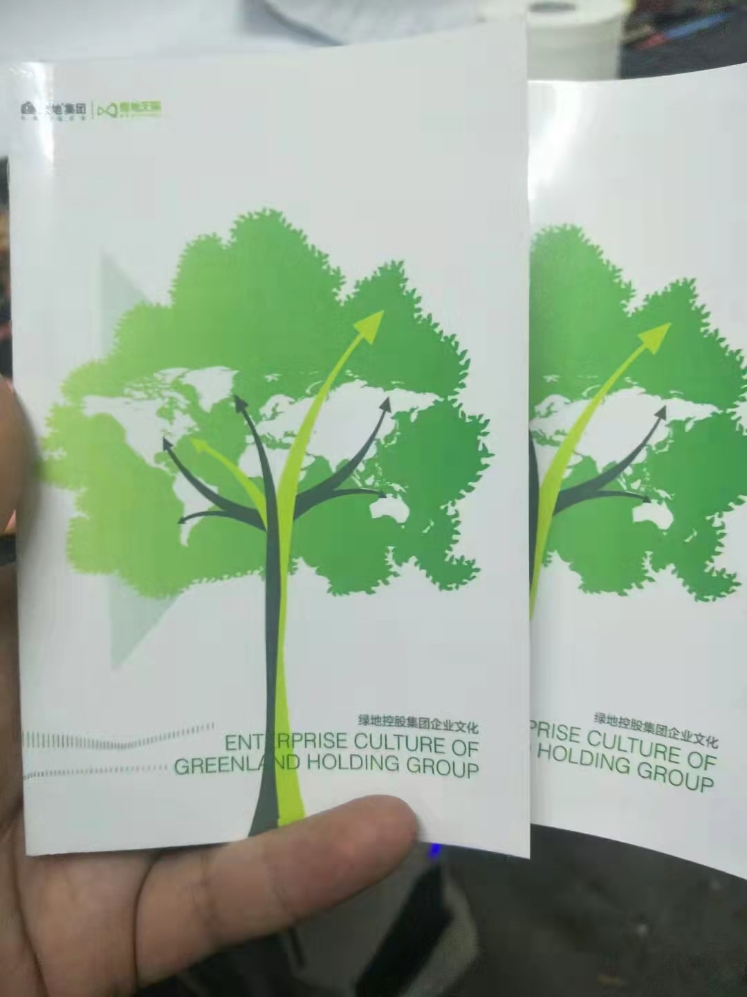 綠地集團企業(yè)文化手冊印刷成品-min.jpg 綠地集團企業(yè)文化手冊印刷成品-min.jpg